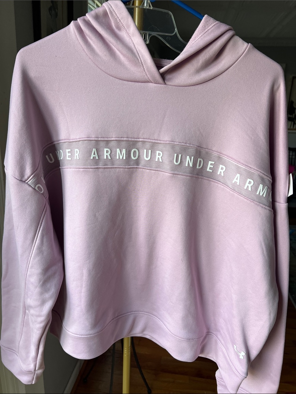 Under Armour Women's Tech Terry Hoodie in Pink Fog / Large